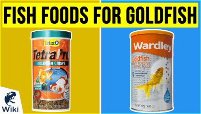 Top 10 Fish Foods For Goldfish | Video Review