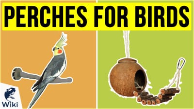 Best Perches For Birds