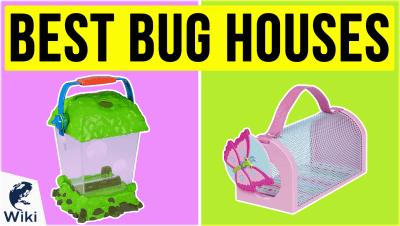 Best Bug Houses