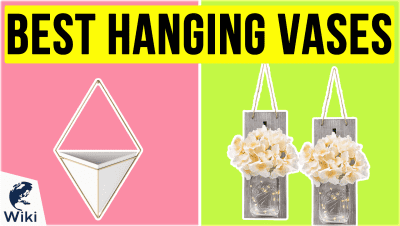Best Hanging Vases