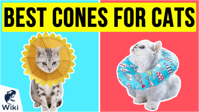 Best Cones For Cats
