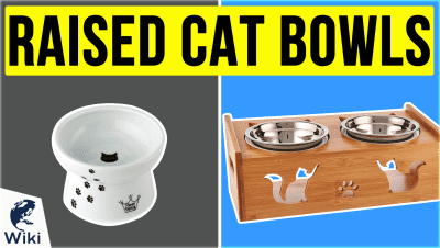 Best Raised Cat Bowls