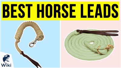 Best Horse Leads