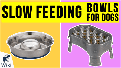 Best Slow Feeding Bowls For Dogs