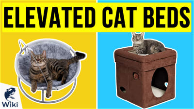 best Best Elevated Cat Beds