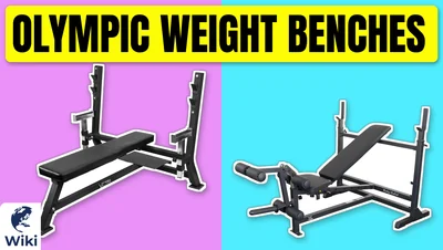 Best Olympic Weight Benches