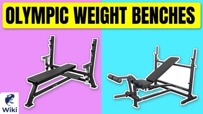 Best Olympic Weight Benches