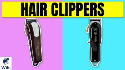 Best Hair Clippers